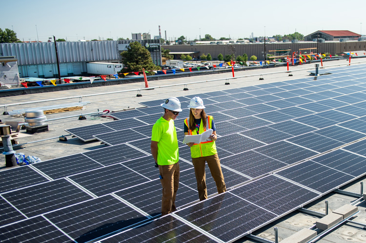 employees standing amongst solar panels